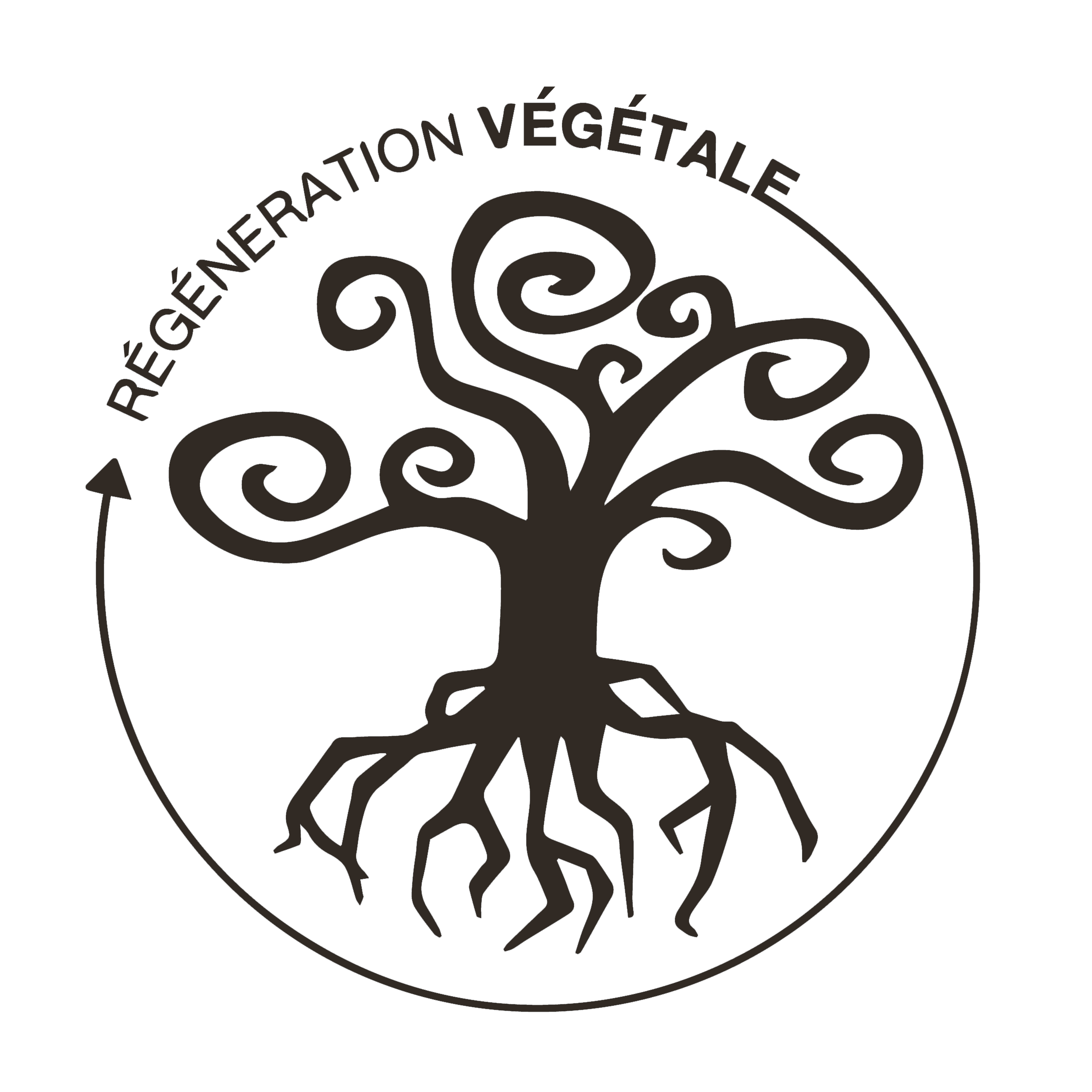 0755a7_d59cfe5dcdf14c66afc308885c1a7e5a~mv2